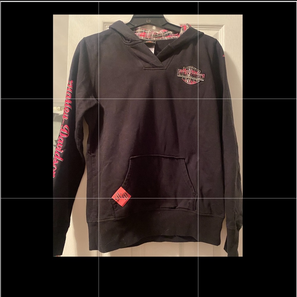 Harley Davidson Hooded Sweatshirt